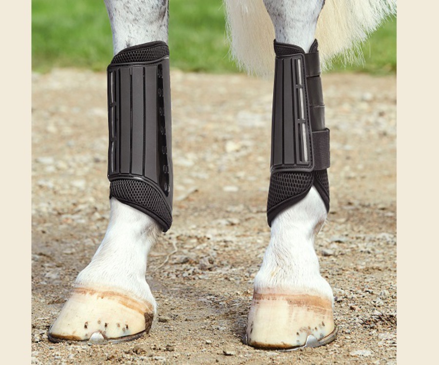 Weatherbeeta Eventing Hind Boots image 0